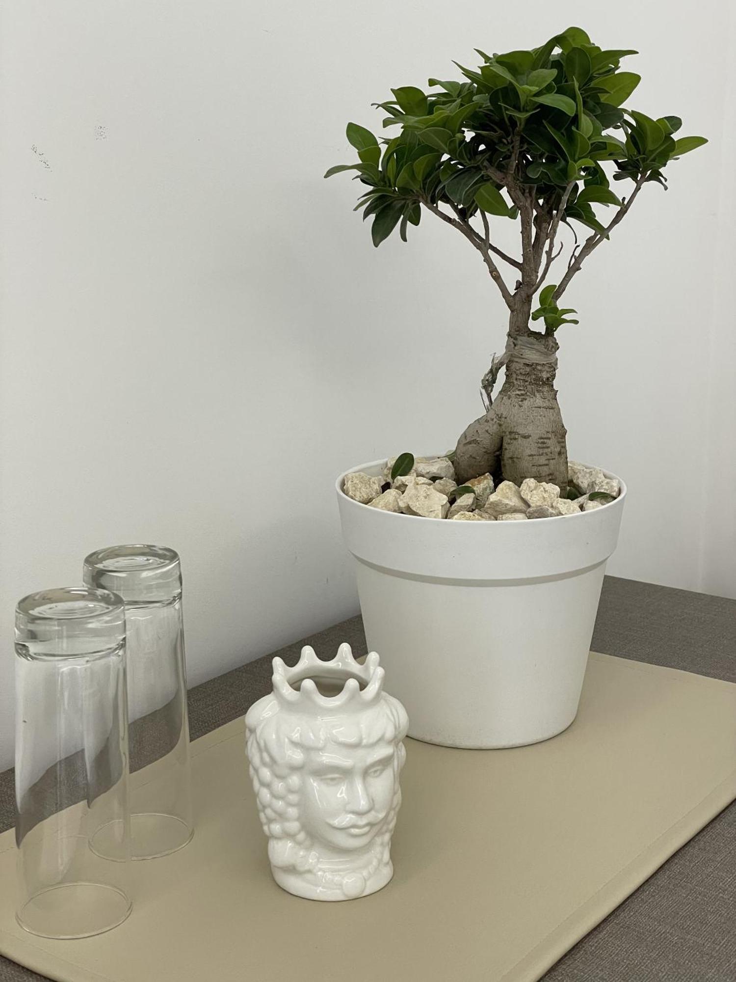 Paradise Sicily Rooms Calatabiano Luaran gambar